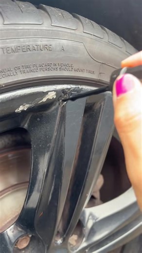 BMW and Car Scene Highlights