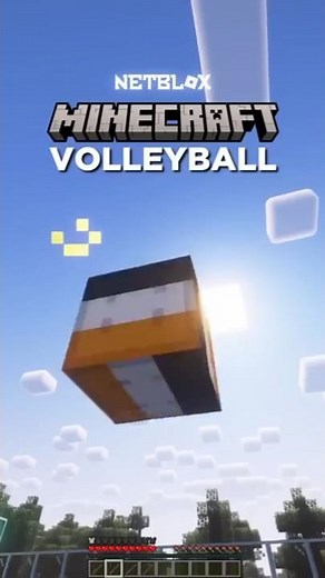 NETBLOX VOLLEYBALL #minecraft #minecraftshorts #netbl