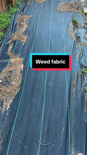 Keep Weeds Out of Your Garden with Weed Fabric
