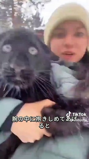 黒豹の驚きのリアクションを楽しむ瞬間