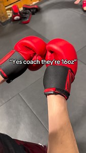 I swear they’re 16 coach #boxing #funny #mma | Nelson Leduc