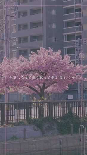 #tonun #青い春に (Re-recorded)#lyricvideo #fyp