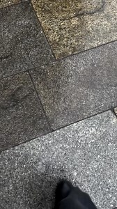 51K reactions · 2.3K shares | Cologne Cathedral in Germany, a UNESCO...