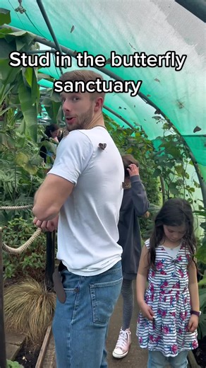 Exploring the Butterfly Sanctuary: A Relaxing Escape