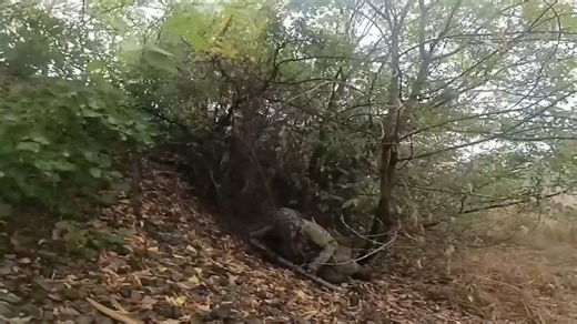 Road to work. | In Ukraine