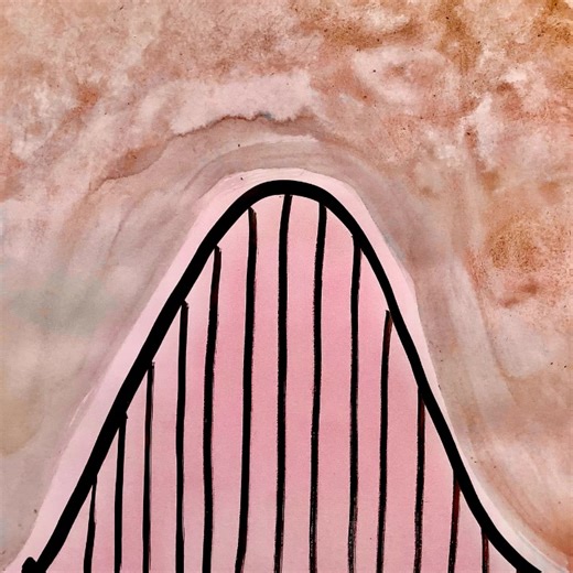 Experience the Thrills of Roller Coasters