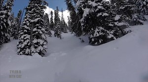 2.7K views · 39 reactions | In stock and ready to ship! Our Arctic Cat turbo kit for the Mtn Cat/Hardcore/Alpha has been mountain tested and a proven reliable, easy to install turbo kit. Now available in Standard or High Boost Water to Air Intercooler Editons. | Silber Turbos | Facebook