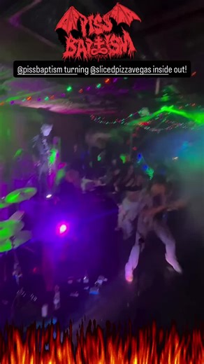 Cats in Outer Space: A Transylvanian Adventure