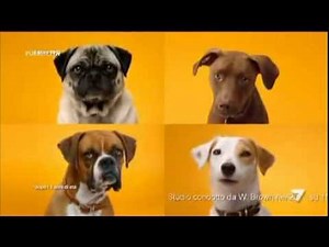 Pedigree Dental stick Spot 2013