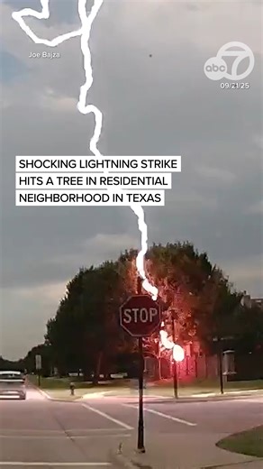 Dashcam footage caught the shocking moment a lightning strike lit up a tree in Melissa, Texas on Sept. 21. The driver was in shock they saw the strike hit so close to them while driving, saying "That was close, crazy." | ABC7 News