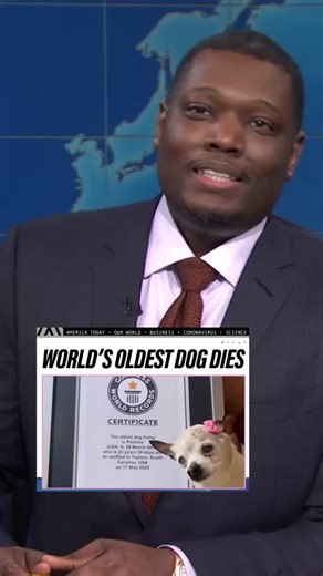 Meet Pebbles: The World's Oldest Dog | Tribute to Pebbles