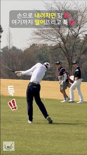 내려치면 망합니다❌ 떨어뜨리고 툭 입니다⭕ #박성현