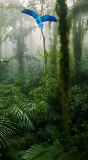 A colorful parrot flying through a tropical rainforest