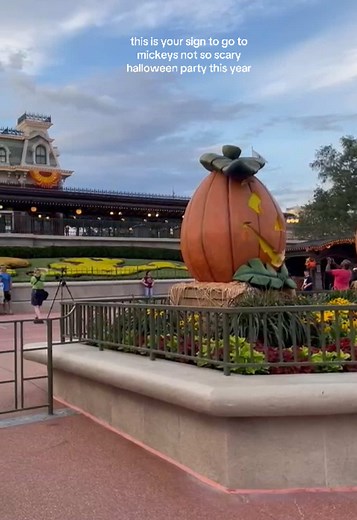 mainstreetmouse on TikTok