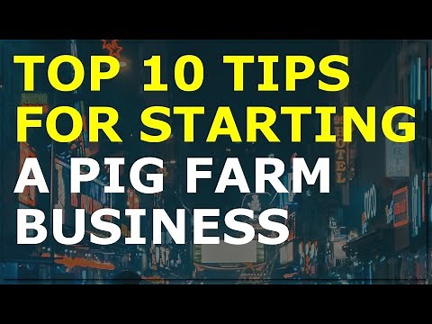 How to Start a Pig Farm Business | Free Pig Farm Business Plan Template Included