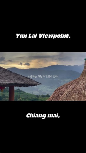 치앙마이 가서 빠이 안가면 바보! 윤라이 전망대는 필수! #치앙마이브이로그 #travel #빠이
