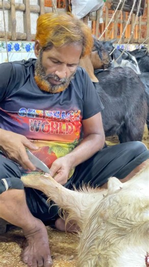 Meat Cutting | Mutton Cutting | How to Cut #snack #funny conversations #eastertreats