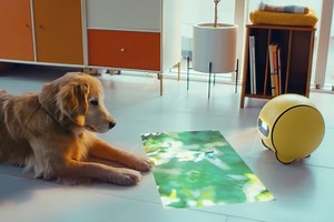 CES 2024: Así es Ballie el robot inteligente de Samsung - La Opinión