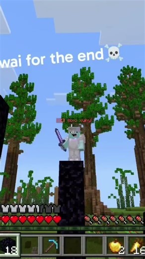 Minecraft Battle arena ☠️ pt2