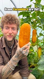 112K views · 2.2K reactions | Green Cucumbers are Out! 勒 This might...