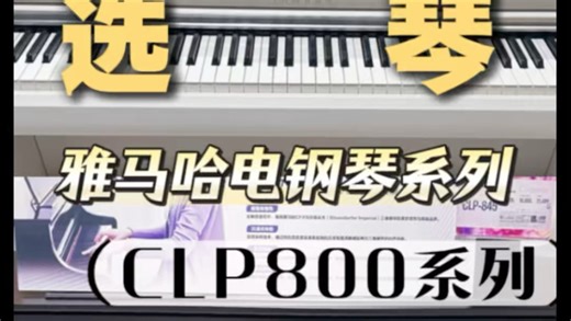 预算决定型号！雅马哈CLP800系列选购攻略1万/1.5万/2万 闭眼入对应型号，一台到位不花冤枉钱🎹🌟#雅马哈钢琴吉他#雅邦琴行#济宁市雅马哈乐器专卖店