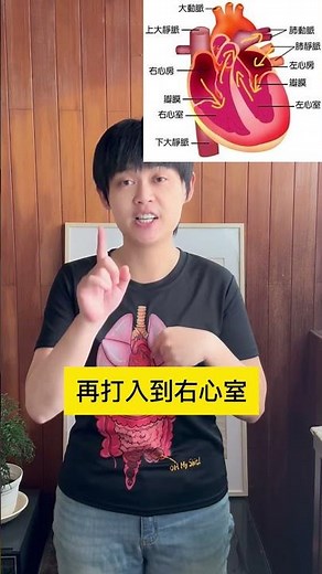 會考倒數39天 心臟的循環 #張妤自然 #113會考 #會考 #自然 #探宇自然團隊 #生物