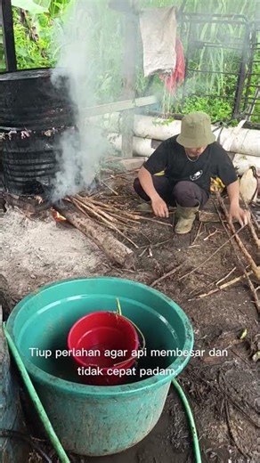 memasak pakan babi dagdag#shot #subscribe #like #shorts