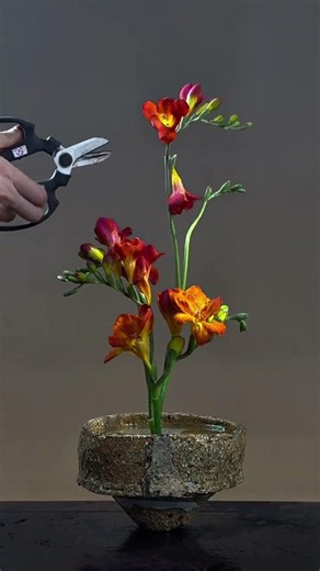 A Chinese-style flower arrangement tutorial for five Freesias#Oriental flower