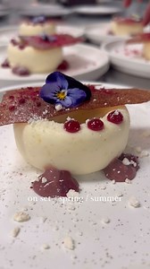 Bird's Basement on Reels