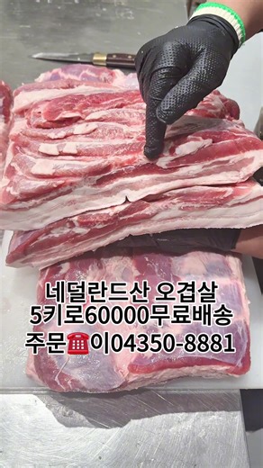 네덜란드산 오겹살5키로60000무료배송요#염소반마리 #LA갈비 #한우암소머리 #소척갈비 #통삼겹살