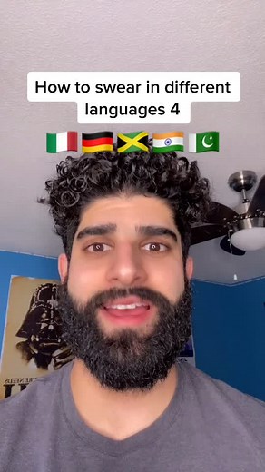 Pushpek Sidhu on TikTok