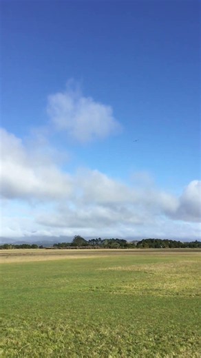 DIY FPV RC PLANE LAUNCH ✈️ #shorts #takeoff