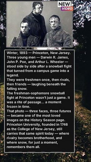 THE SNOWBALL BROTHERS
