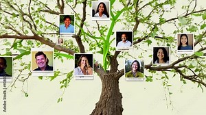 A detailed family tree that displays pictures of various individuals on its branches