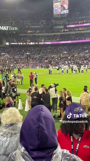 Cheerleaders in the NFL: Sideline Performances and Stunts