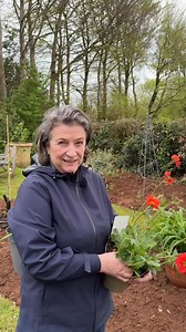 Updates on the new garden - follow @cqgardens on YouTube | CQ Gardens