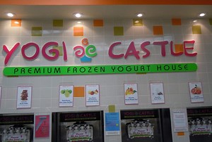 Dairy-Free Ice Cream Challenge