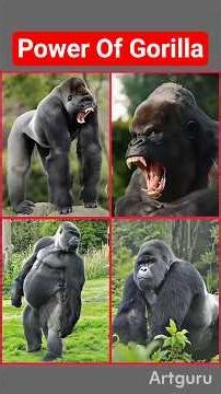Wow 😲 The Secret Behind Gorilla Strength — No Gym, No Meat! #animals #gorilla #wildlife