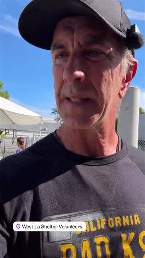 Importance of Dog Playgroups at West LA Shelter