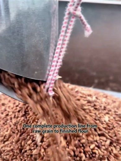 A single production line handles the entire process from raw grain to finished flour. The complete equipment set encompasses automated cleaning, destoning, milling, sifting, dust removal, and packaging, making it ideal for continuous production. You are welcome to contact us for inquiries at any time. #Wheatmilling #wheatmillingequipment #millingmachine #CornMilling #wheatflourmillingmachine #flourmilling