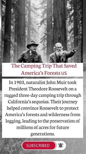 How Roosevelt Helped Save America’s Wilderness 🇺🇸 #shorts #americanaudience