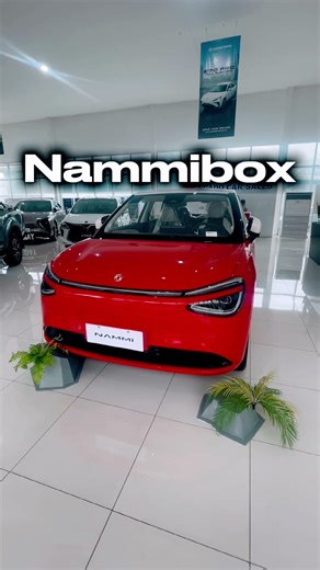 Dongfeng NammiBox Box the World , Lead the Trend #electricvehicle #automobile