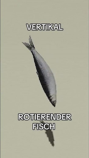 Nicht schon wieder! Rotierender Fisch