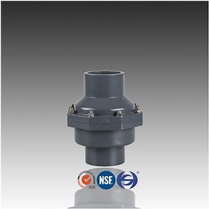 [Hot Item] DIN Standard PVC Check Valve with Swing
