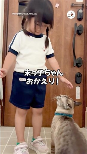 Cat asking the youngest child for a hug｜PECO