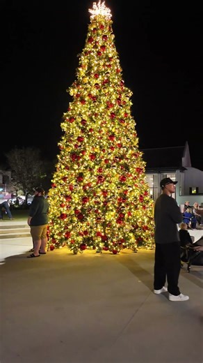 Christmas in Wellen Park Florida 🎄🌴