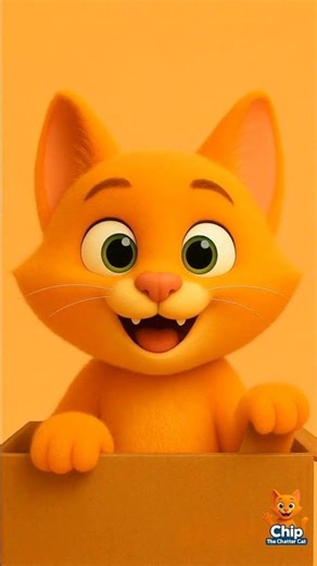 “Cat Chooses BOX Over Toys… You Won’t Believe Why! 🐱📦”