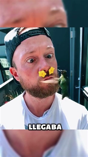 Salvó a un colibrí y esto cambió su vida 🐦