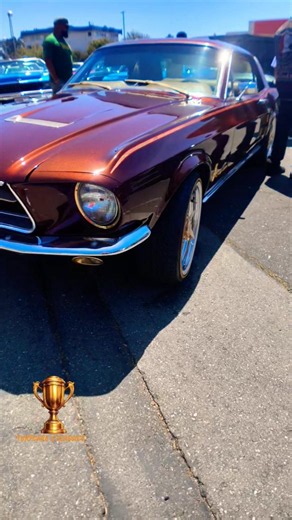 🏆6-7 Stang on Gold Thangs & Vogues BayArea, Ca
