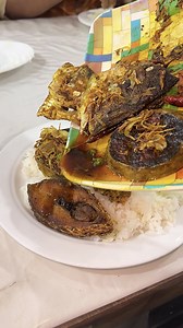 Hilsa Fish Fry | Street Food Hunting